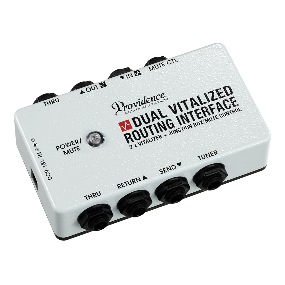 Providence DUAL VITALIZED ROUTING INTERFACE DVI-1M - エフェクター