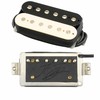 AriaProII大橋隆志シグネチャーピックアップ TJO Custom Humbucker AHB-TJO SET ZEBの画像