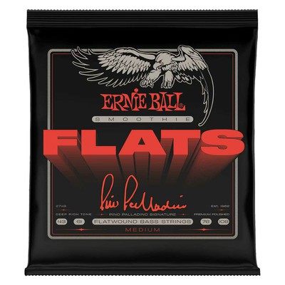 ErnieBallの画像